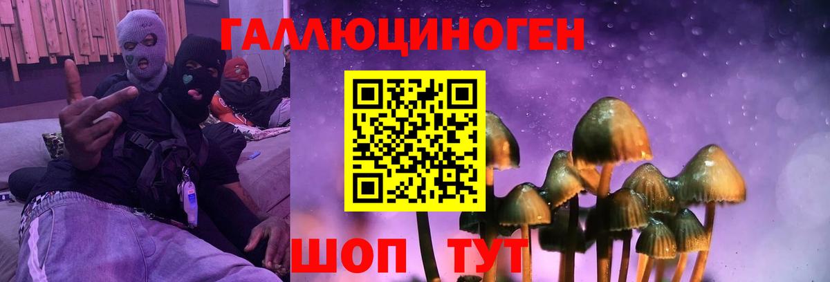Псилоцибиновые грибы мицелий  Вход с VPN  Галлюциногенные грибы Psilocybe  Армавир 